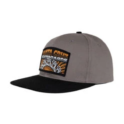 Santa Cruz Screaming Connect Snapback Hat - Charcoal/Black