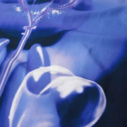 HUF Bubble Resort Shirt - Multi -DADDIES Skate Gear 196377232226 4