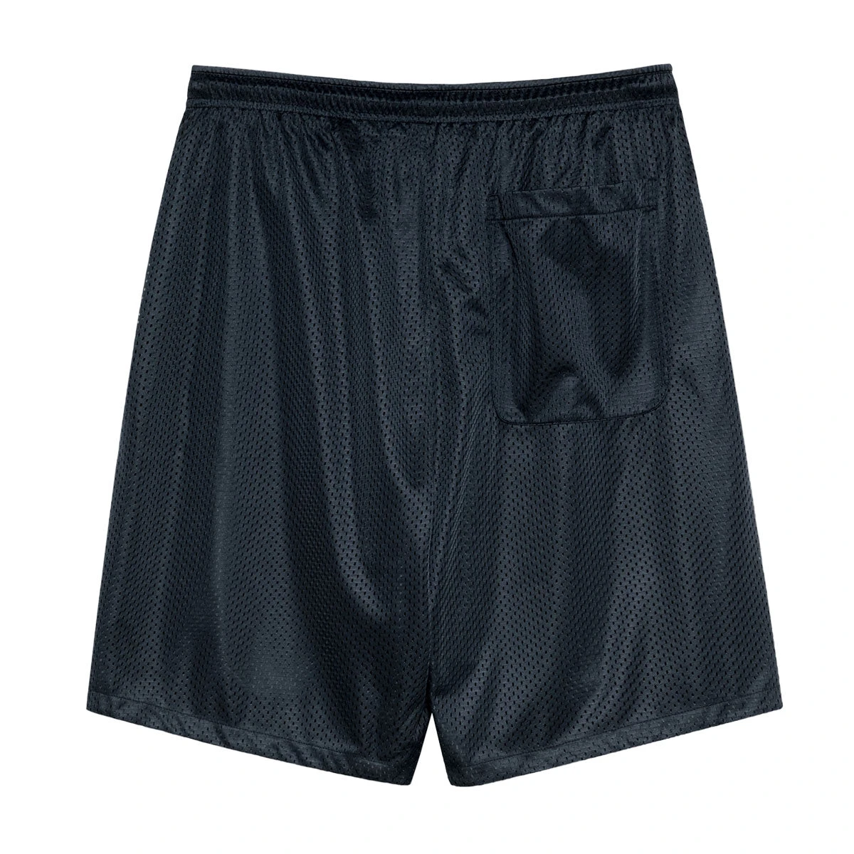 Polar Ray Shorts - Navy 4 Polar Ray Shorts - Navy - Image 2