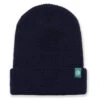 Jones Utility Beanie - Navy/Green -DADDIES Skate Gear 850051956555 1