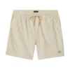 Brixton Everyday Corduroy Shorts - Whitecap -DADDIES Skate Gear 888588979235 1