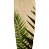 Rout Palms Pintail Longboard Complete