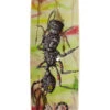 Omen Ant Pollution 41" Drop Thru Kick Longboard Deck -DADDIES Skate Gear BQ5747F 1