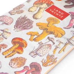 Landyachtz Dipper Forager Longboard Cruiser Deck -DADDIES Skate Gear BQ6A14E 3 1