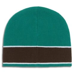 CCS Icon Skully Beanie - Green/Brown -DADDIES Skate Gear BQ6BE79 3