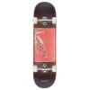 Passport Native Fruit Maca Skateboard Complete - 8.125" 2 Passport Native Fruit Maca Skateboard Complete - 8.125" -DADDIES Skate Gear BQ6BF6B c