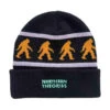 Theories Northern Theories Beanie - Black -DADDIES Skate Gear BQ88835 1