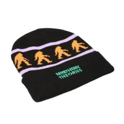 Theories Northern Theories Beanie - Black -DADDIES Skate Gear BQ88835 2