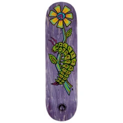 Black Label Elijah Akerley Caterpillar Skateboard Deck - 8.50"
