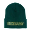Shake Junt Stretch Logo Beanie - Green -DADDIES Skate Gear BQ8D515 1